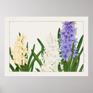Póster Hyacinth, Purple White & Yellow Flowers by Konan,