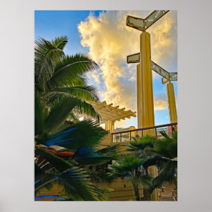 Póster Hyatt Waikiki