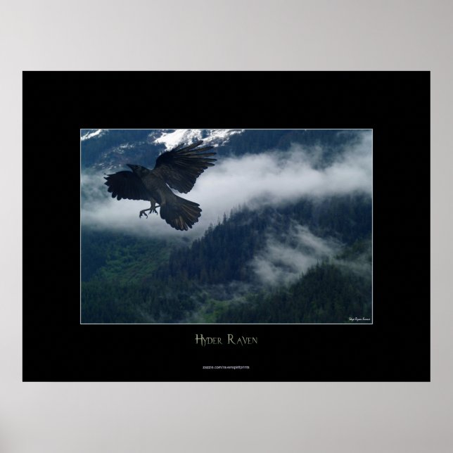Póster Hyder Raven Wildlife Art Nature Poster (Frente)