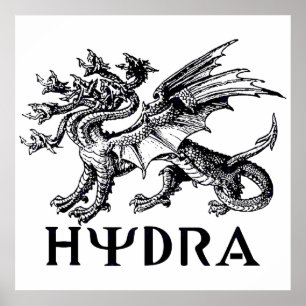 Póster Hydra