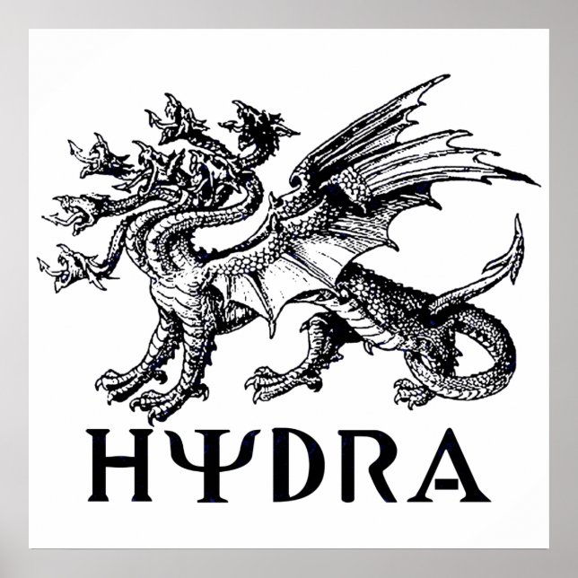 Póster Hydra (Frente)