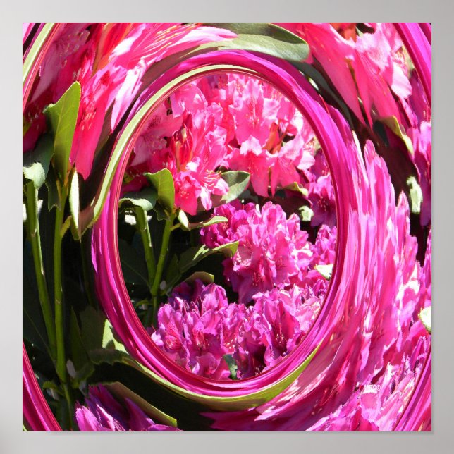 Póster Hydrangea Love... (Frente)