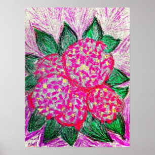 Póster Hydrangea macrophylla