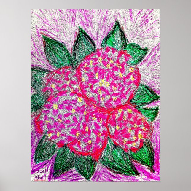 Póster Hydrangea macrophylla (Frente)