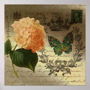 Póster Hydrangea mariposa corona país francés