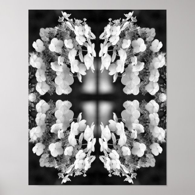 Póster Hydrangea negro y blanco espejo abstracto    (Frente)