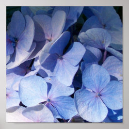 Póster Hydrangea Print