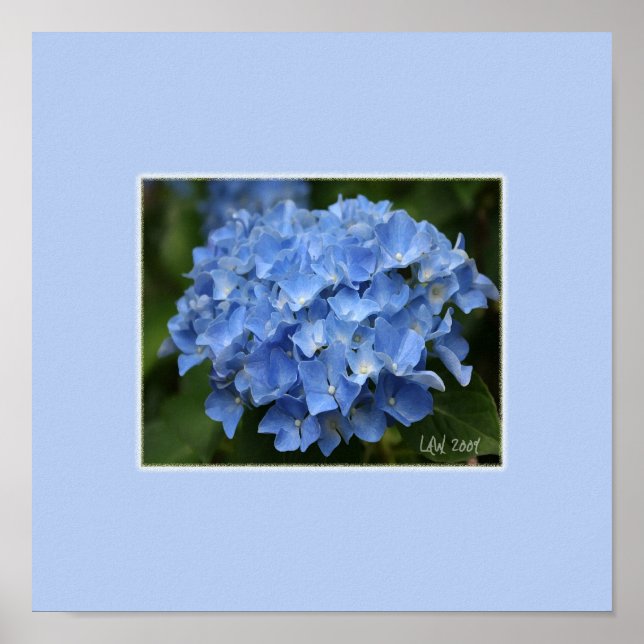 Póster Hydrangea Print (Frente)