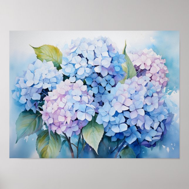 Póster Hydrangeas (Frente)