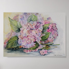 Póster Hydrangeas