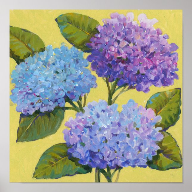 Póster Hydrangeas de primavera (Frente)