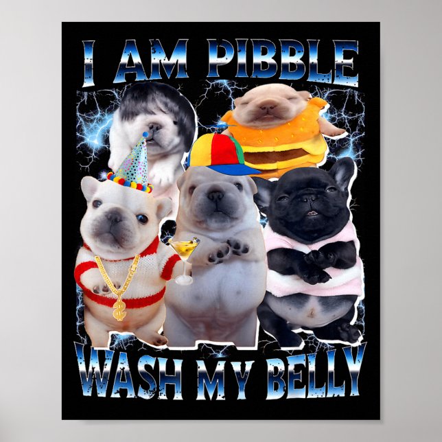Póster I Am Bble Wash My Belly Bble Meme Funny Dog Brainr (Frente)