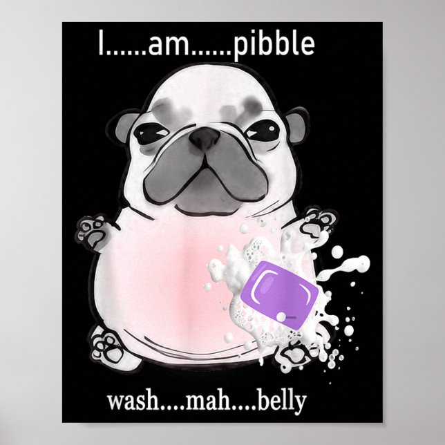 Póster I Am Bble Wash My Belly Bble Meme Funny Dog Brainr (Frente)