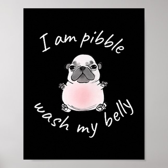 Póster I Am Bble Wash My Belly Bble Meme Funny Dog Brainr (Frente)