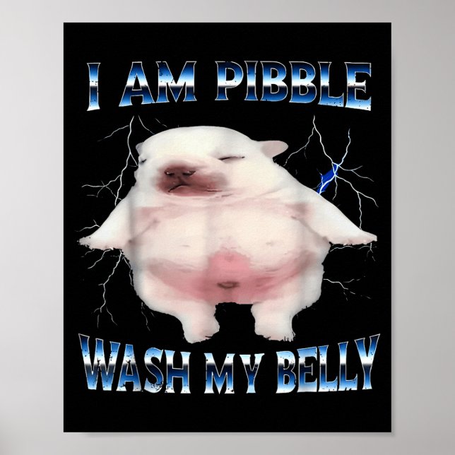Póster I Am Bble Wash My Belly Bble Meme Funny Dog Brainr (Frente)