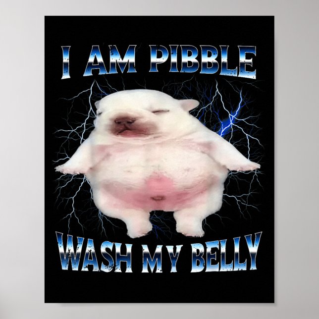Póster I Am Bble Wash My Belly Funny Dog Clean My Belly M (Frente)