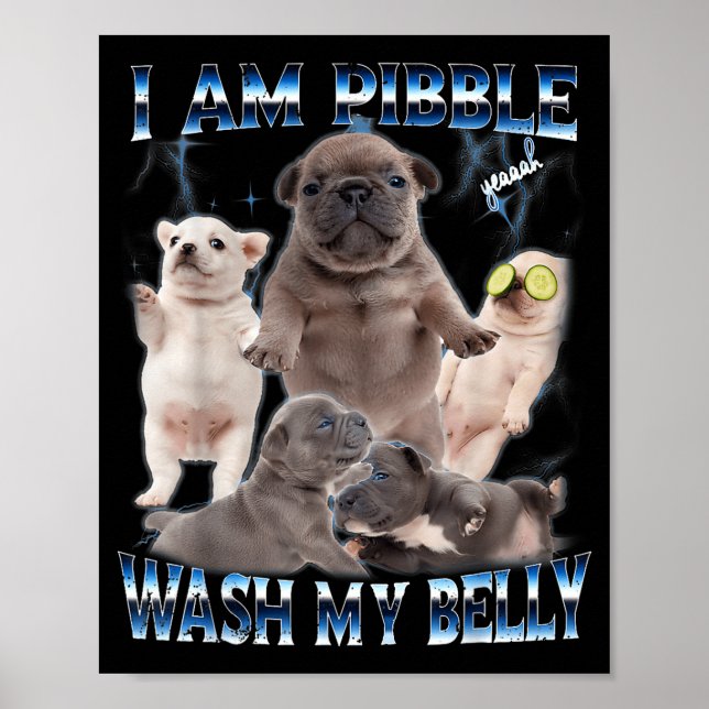 Póster I Am Bble Wash My Belly Funny Dog Clean My Belly M (Frente)