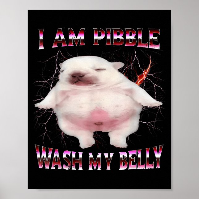 Póster I Am Bble Wash My Belly Funny Dog Meme  (Frente)