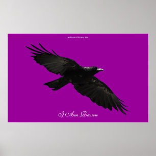 Póster I AM RAVEN III Flying Black Raven Art Poster