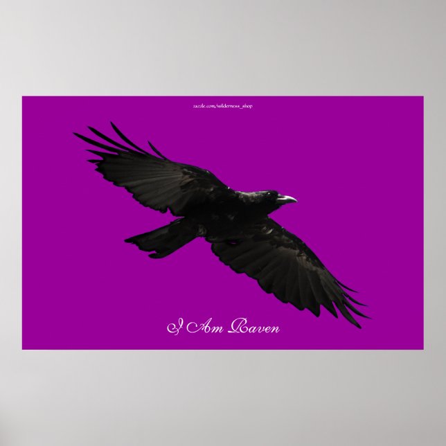 Póster I AM RAVEN III Flying Black Raven Art Poster (Frente)