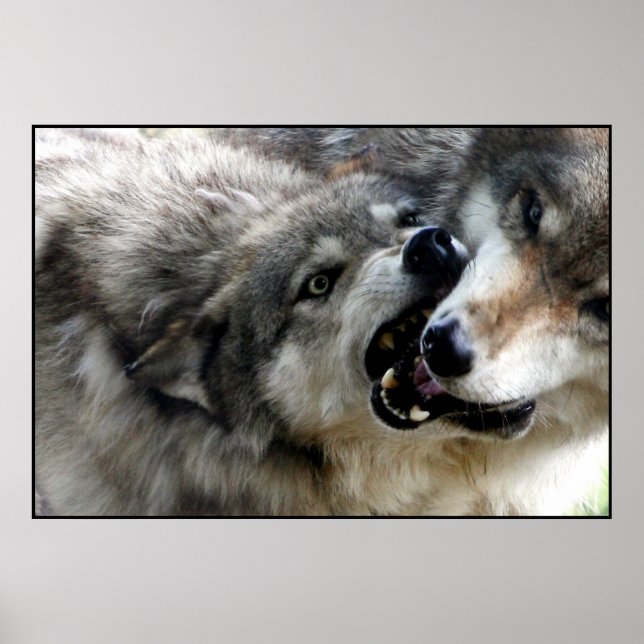 PÓSTER I BITE (Frente)