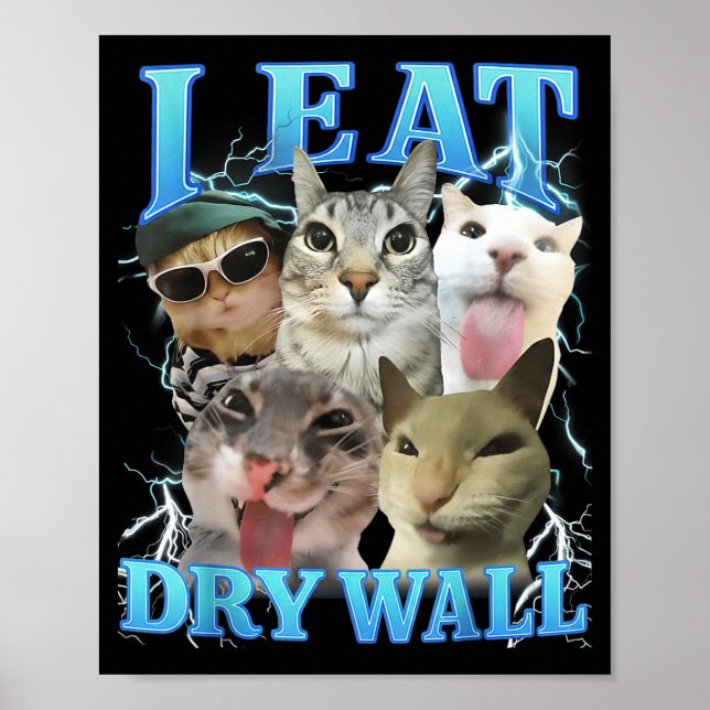 Póster I Eat Dry Wall Funny Cat Meme  (Frente)