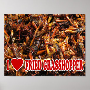 Póster I Love (Heart) Fried Grasshopper