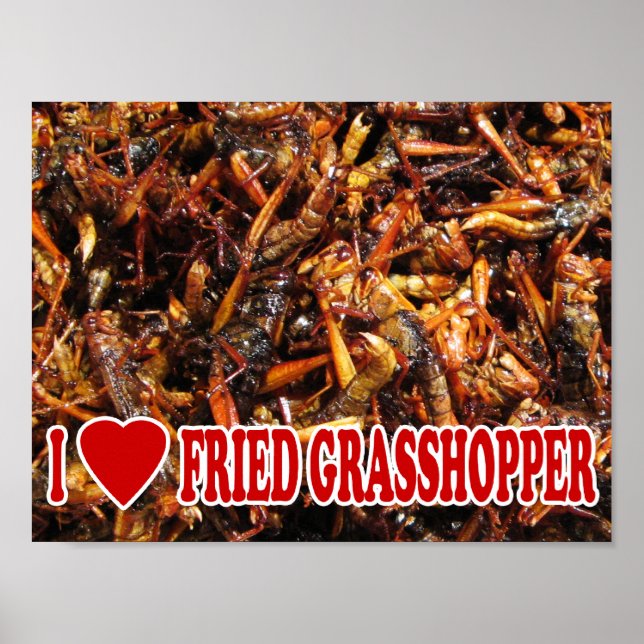 Póster I Love (Heart) Fried Grasshopper (Frente)