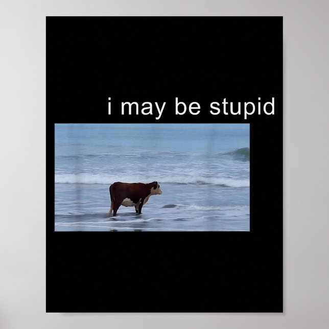 Póster I May Be Stud Cow Meme I May Be Stud Funny  (Frente)