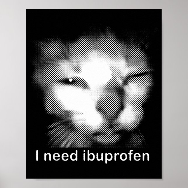 Póster I Need Ibuprofen Cat Meme Funny Silly Cat Ironic W (Frente)