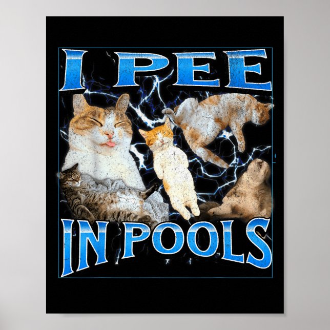 Póster I Pee In Ols Funny Offensive Cat Meme Bootleg Grap (Frente)