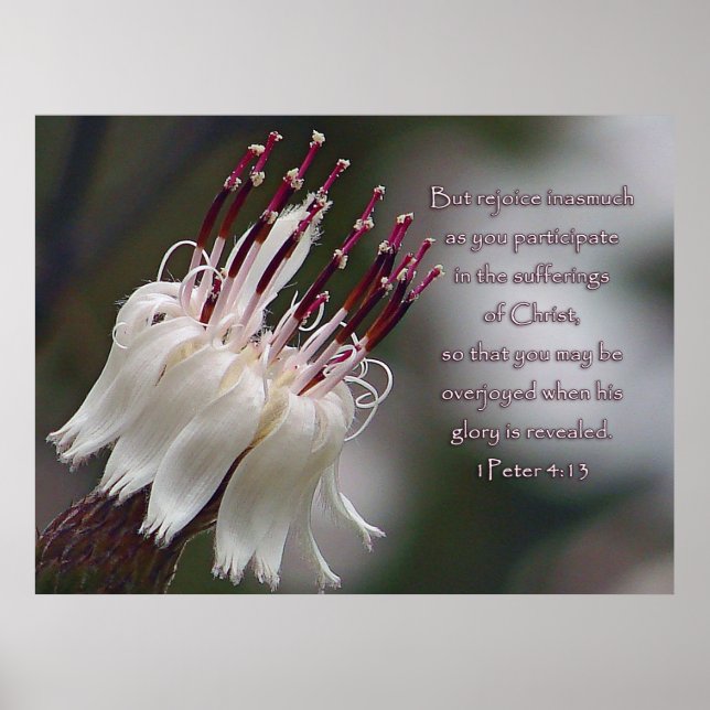 Póster I Peter 4:13 Inspirational Floral (Frente)