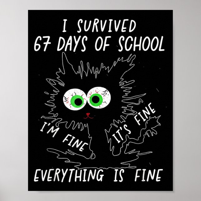 Póster I Survived 67 Days Of School Funny Six Seven  (Frente)