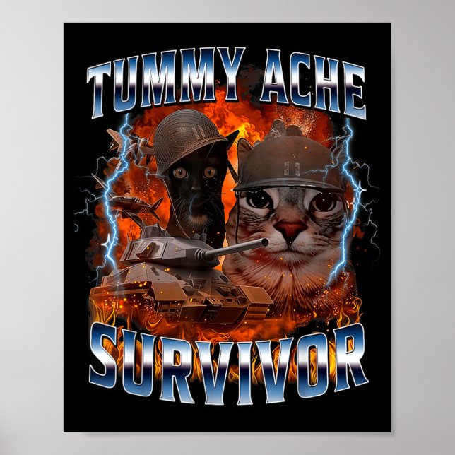 Póster I Survived Today's Tummy Ache Funny Silly Cat Meme (Frente)