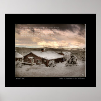 Póster I Went to the Woods, Thoreau Poster