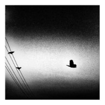 Ianiverse Noir (La Misión)