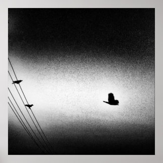 Póster Ianiverse Noir (La Misión)