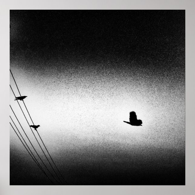 Póster Ianiverse Noir (La Misión) (Frente)