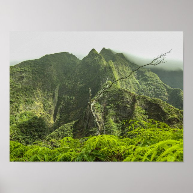 Póster Iao Valley (Frente)