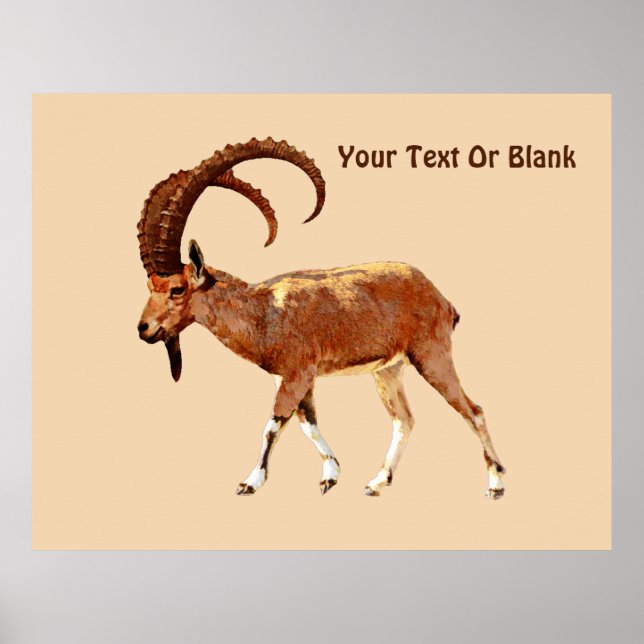 Póster Ibex nubio - Ein Gedi (Frente)