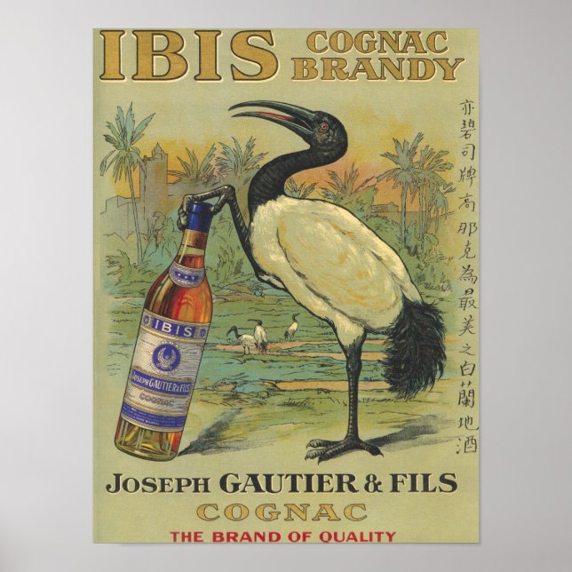 Póster Ibis Cognac - Joseph Gautier & Fils Promo (Frente)