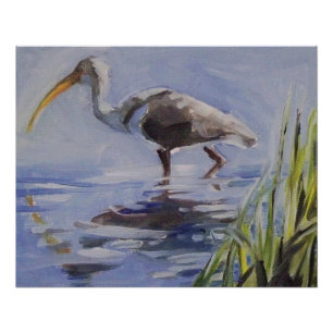Póster Ibis en el pantano de Grassy