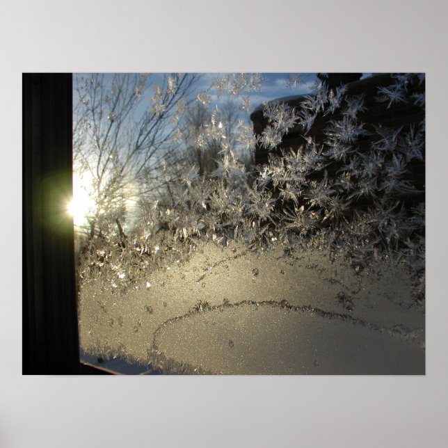Póster Ice Crystals (Frente)