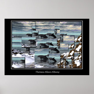 Póster Ice Dolphins