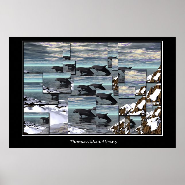 Póster Ice Dolphins (Frente)