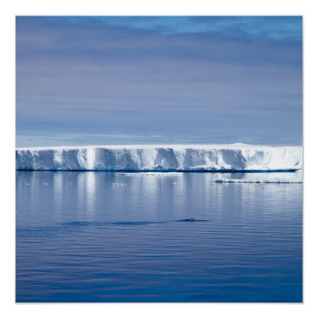 Póster Iceberg flotante (Anverso)