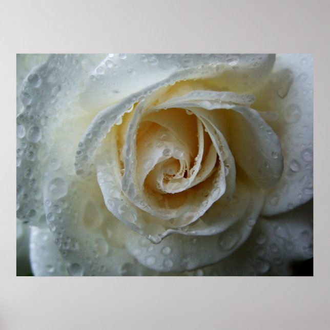 Póster Iceberg Rosa (Frente)