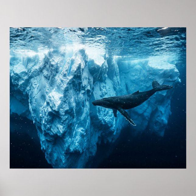 Póster Iceberg submarino y una ballena jorobada (Frente)