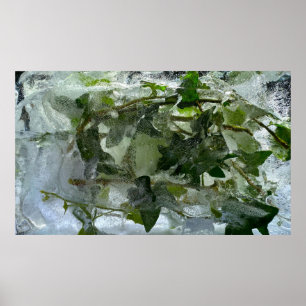 Póster Iced,