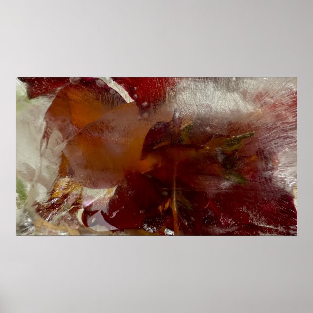 Póster Iced Lilies, (Frente)